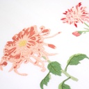 FLEURS KIKU - Essuie-mains invités en Lin